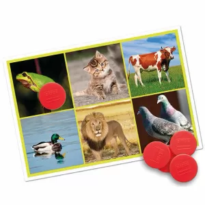 JUEGO BINGO: LOS ANIMALES Y LA NATURALEZA