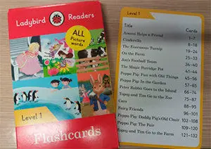 FLASHCARDS. ALL PICTURE WORDS. LEVEL 1 (LADYBIRD)